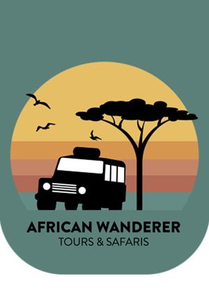 African Wanderer Tours