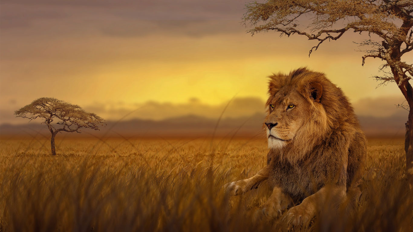 When Is The Best Time To Visit Kruger National Park?